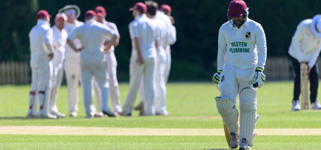 A forlorn cricketer leaves the pitch, his time's up - on the plus side, it's a lovely sunny day