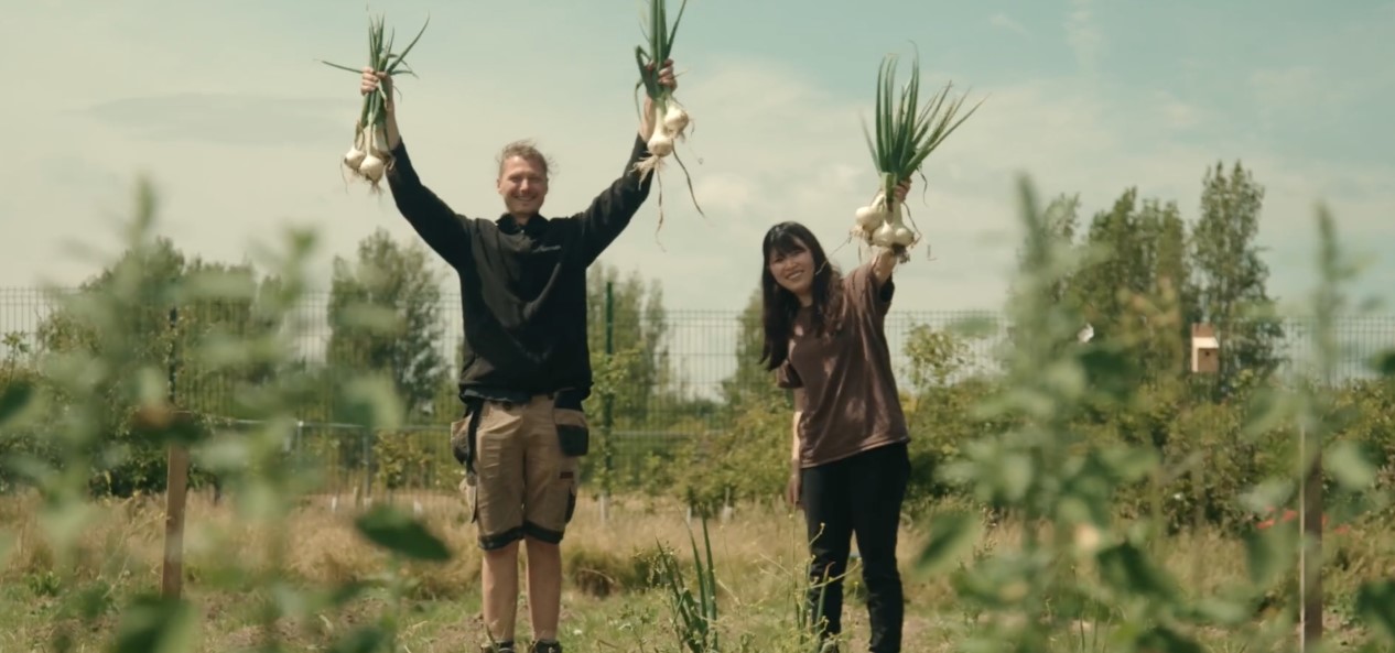Two people hold aloft onions in a community allotment.