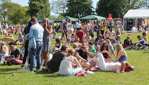crowds picnicking on a field