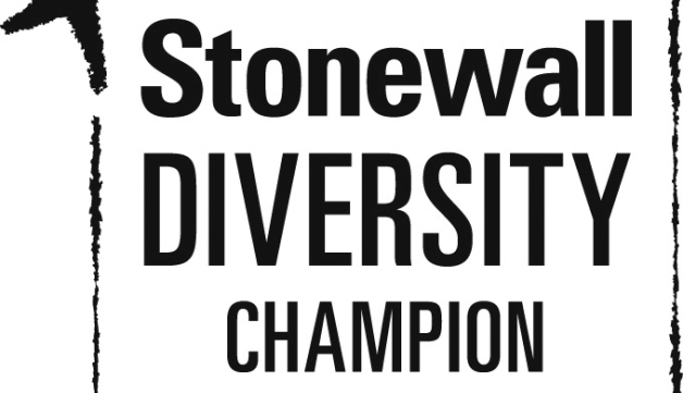 Stonewall Diversity Champion logo black