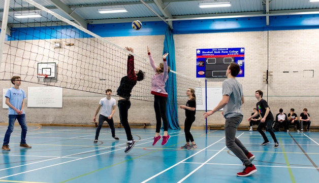 people playing volleyball