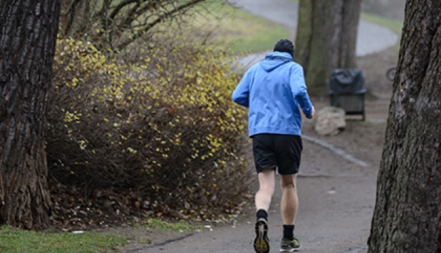 A jogger runs in the park