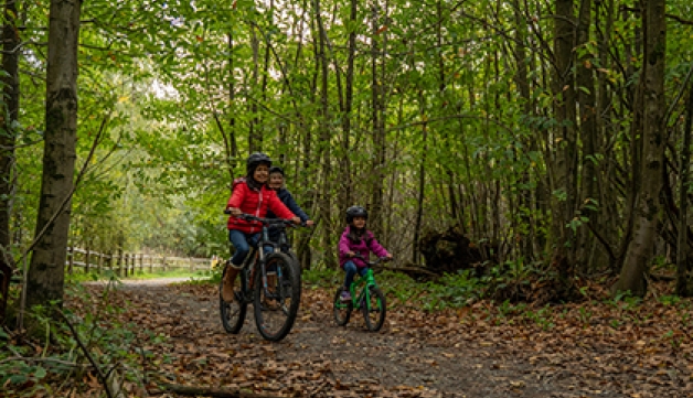 A family cycle on a forest trail