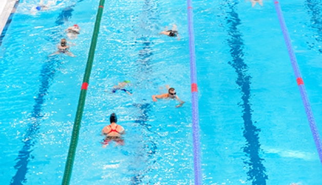 Lane swimming at a public indoor swimming pool.