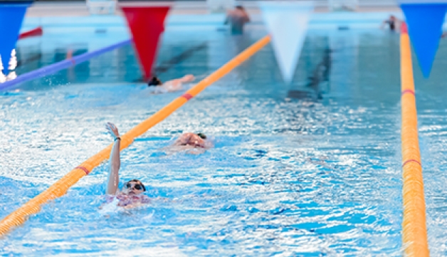 A lane swimming session in a public swimming pool
