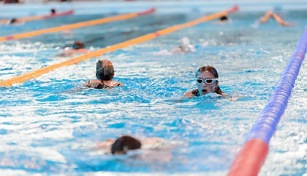 People swim in lanes in an indoor swimming pool