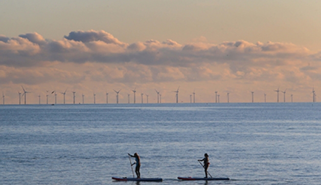 Two paddle boarders paddle in the sea, with a wind farm in the background