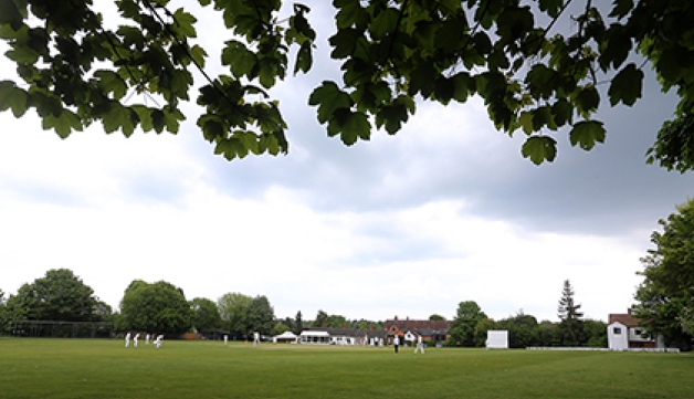 A far-away view of an outdoors cricket pitch from under some trees on the side of the playing area.