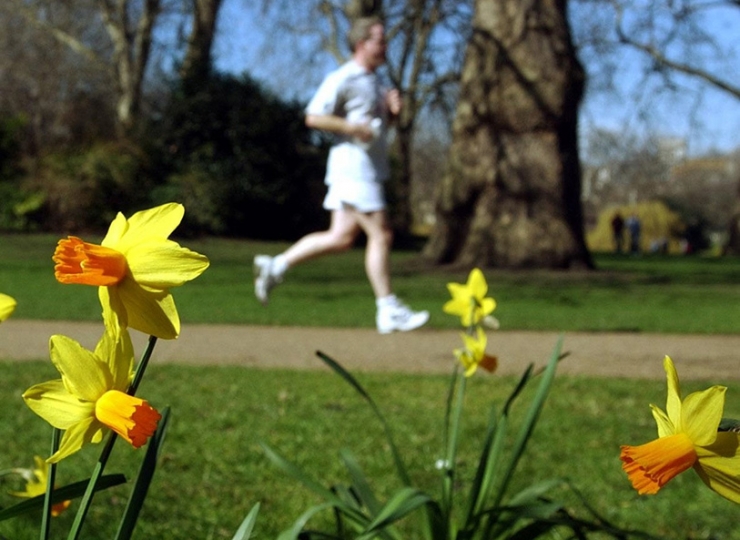 A man running through a park.