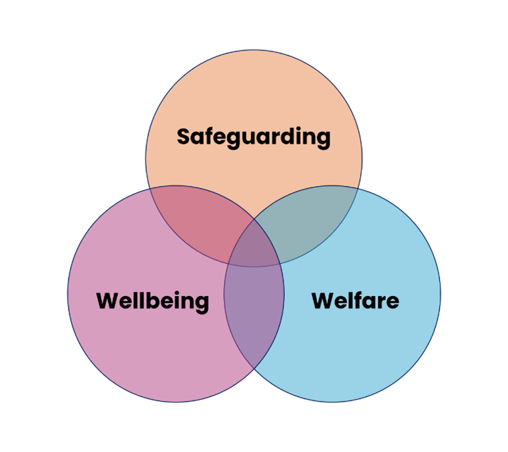 Three overlapping circles, each with a different word at their centre: safeguarding, welfare, wellbeing.